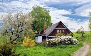 Цена на загородные дома выросла на 30%, вместо заграницы чехи покупают коттеджи