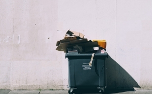 Только два контейнера для отходов: новая система сортировки мусора изменит подход к утилизации отходов