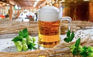 Чешское пиво меняет свой вкус из-за глобального потепления. Будущее за новыми сортами