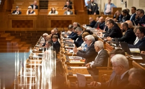 Сенат в голосовании не принял Стамбульскую конвенцию, которая борется с насилием в отношении женщин