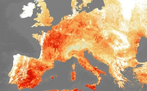 Насколько жаркое лето ожидается в этом году? В США составили прогноз изучив актуальные данные