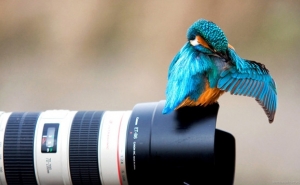 Fotoexpo 2018