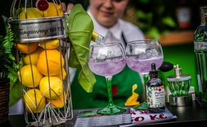 Фестиваль GinFest 2023