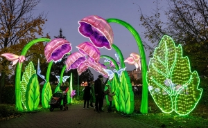 Световой парк Winter Wonderland Praha