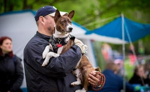Happy Dog Show